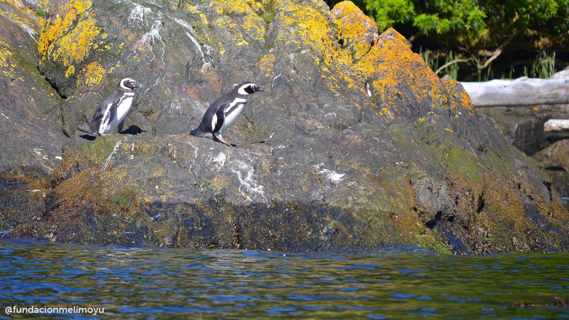 Parque Nacional Melimoyu